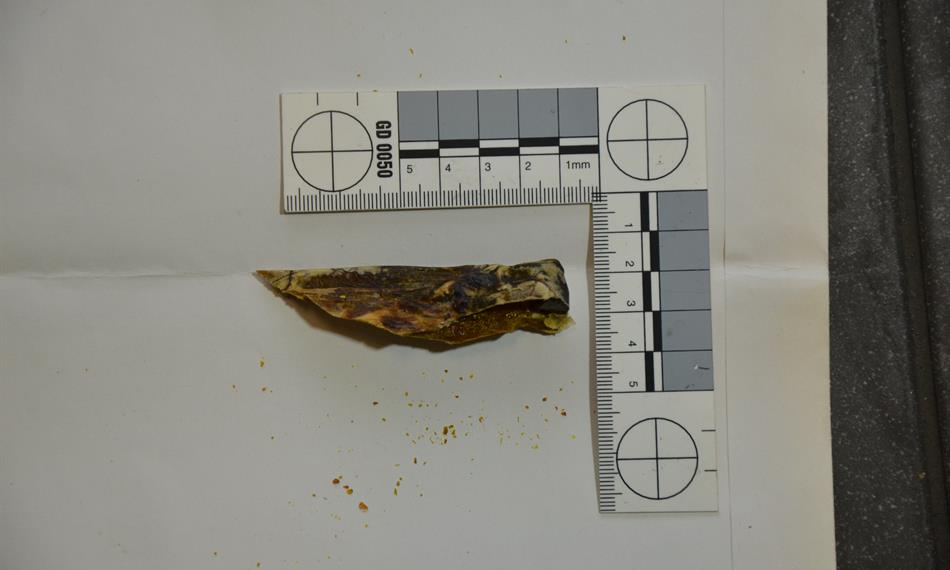 2014-1-15-1346foto 12.JPG